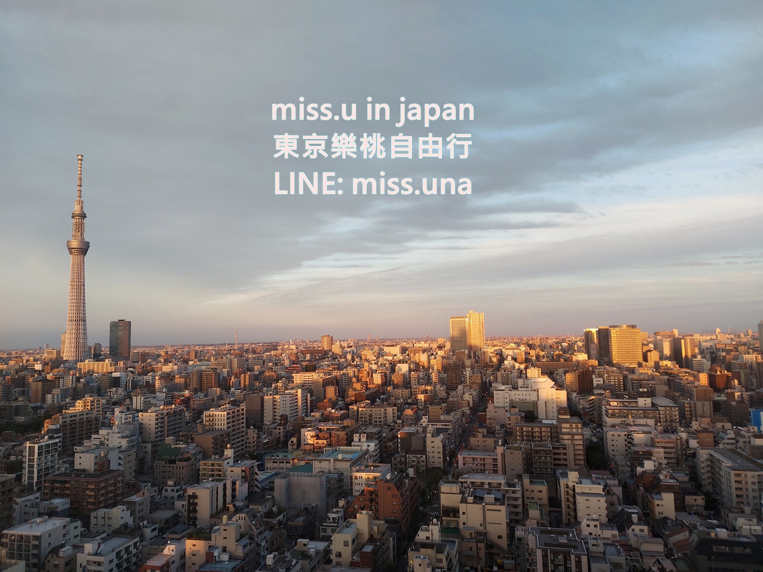 [東京自由行]MISSUTRIP日本趴趴走系列-東京篇(樂桃航空)